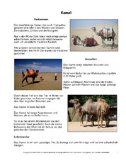 Kamel-Steckbrief.pdf